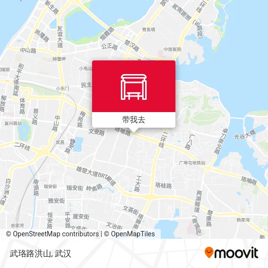 武珞路洪山地图