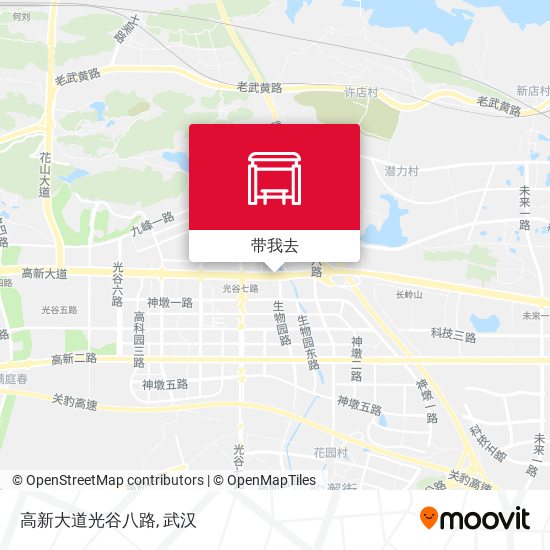 高新大道光谷八路地图