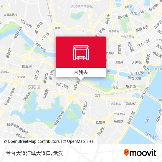 琴台大道江城大道口地图