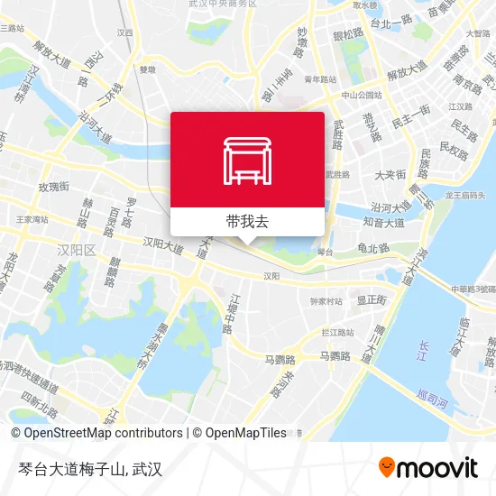 琴台大道梅子山地图
