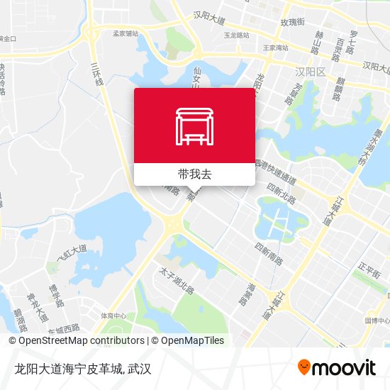 龙阳大道海宁皮革城地图