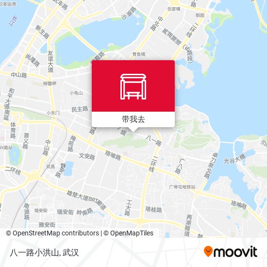 八一路小洪山地图