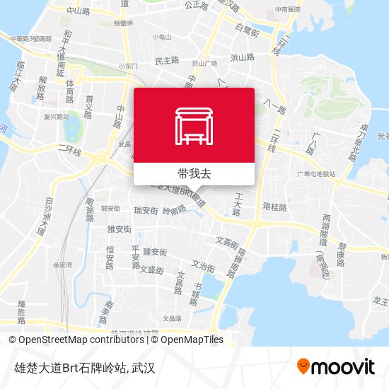 雄楚大道Brt石牌岭站地图