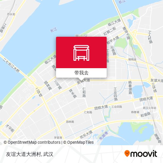 友谊大道大洲村地图