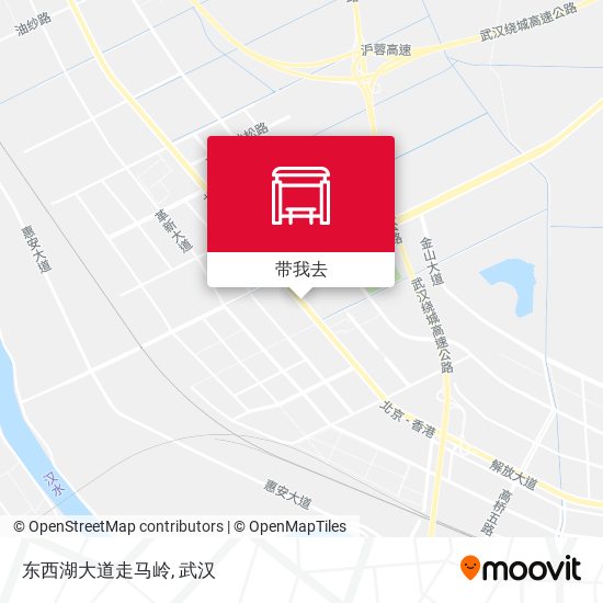 东西湖大道走马岭地图