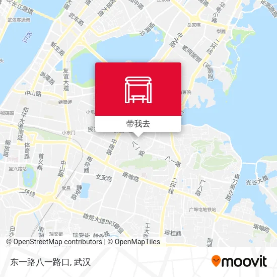 东一路八一路口地图