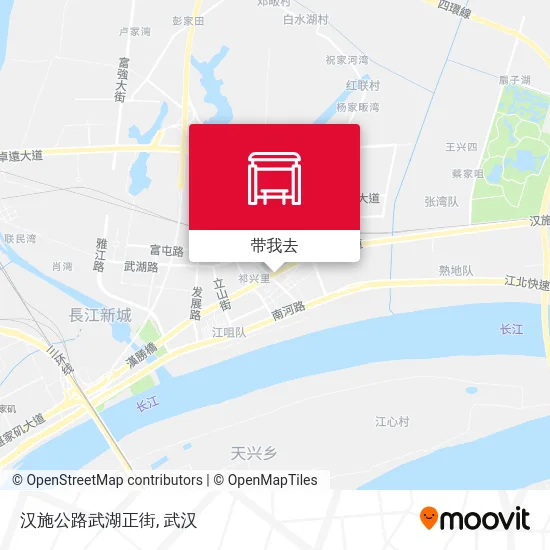 汉施公路武湖正街地图
