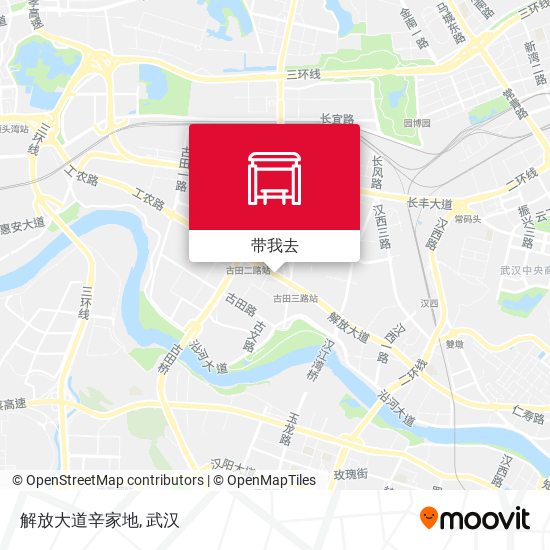 解放大道辛家地地图