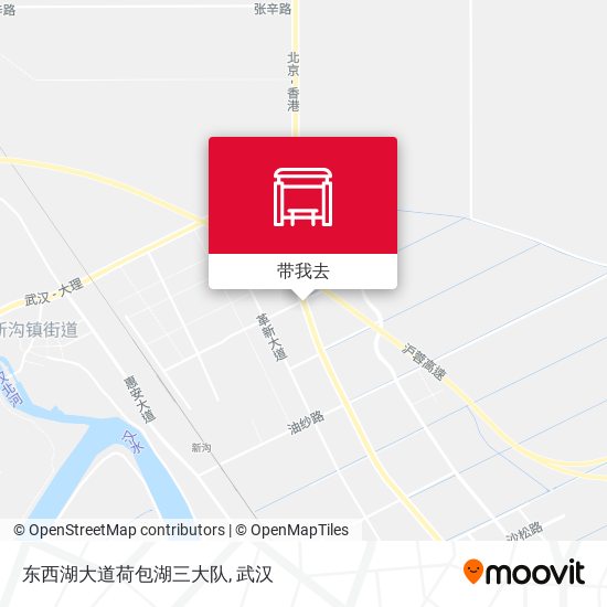 东西湖大道荷包湖三大队地图