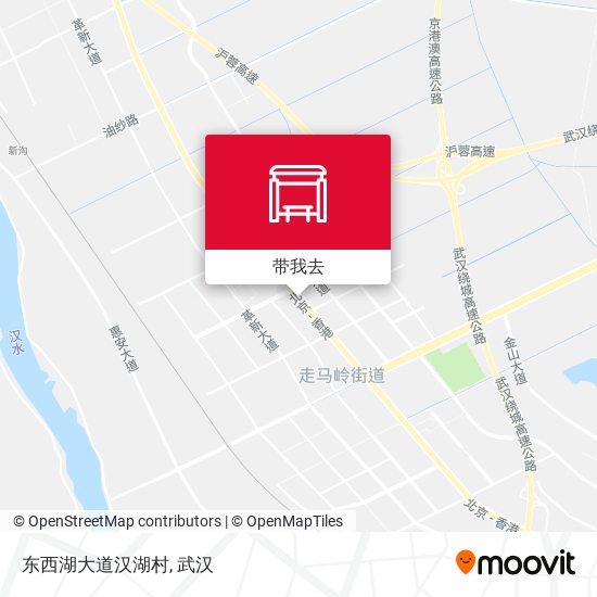 东西湖大道汉湖村地图