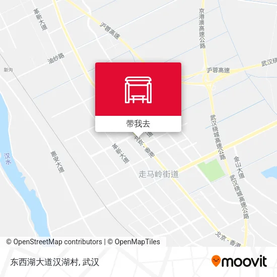 东西湖大道汉湖村地图