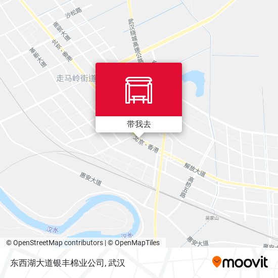 东西湖大道银丰棉业公司地图