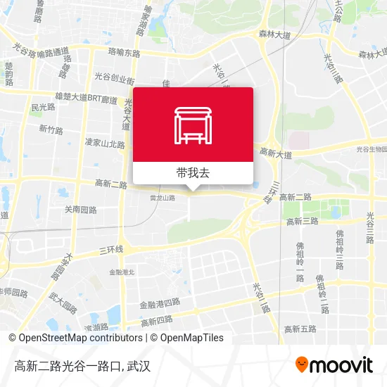 高新二路光谷一路口地图