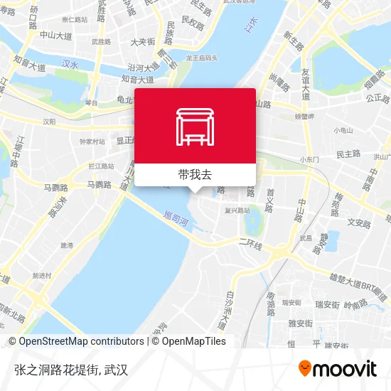 张之洞路花堤街地图