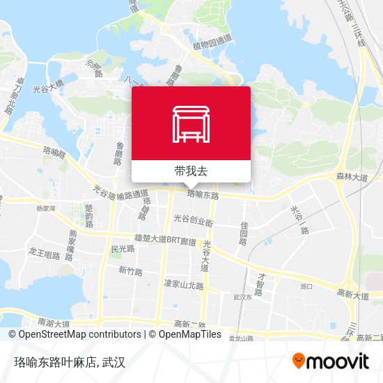 珞喻东路叶麻店地图