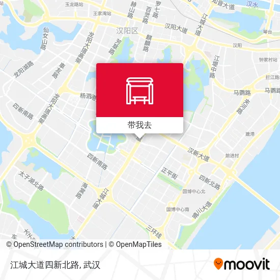 江城大道四新北路地图