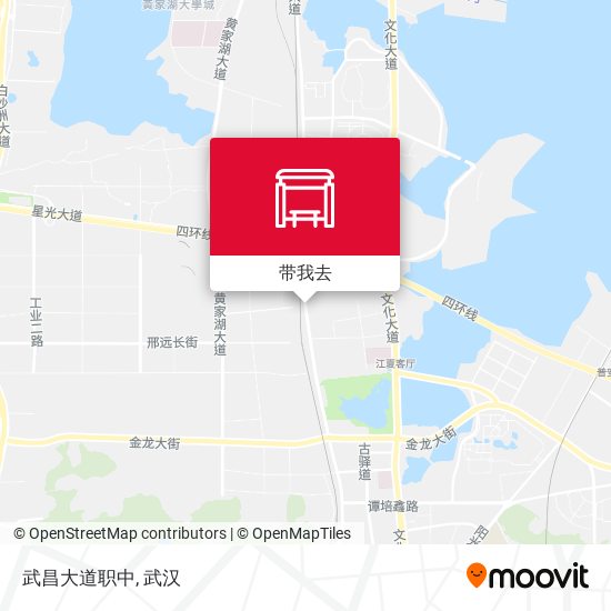 武昌大道职中地图