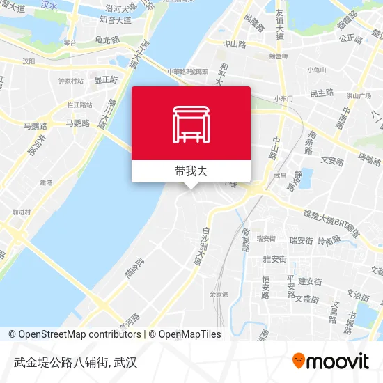 武金堤公路八铺街地图