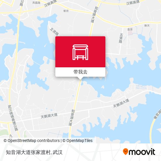 知音湖大道张家渡村地图