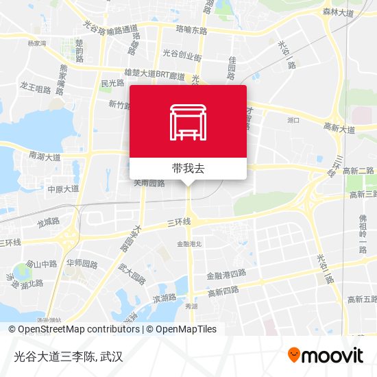 光谷大道三李陈地图