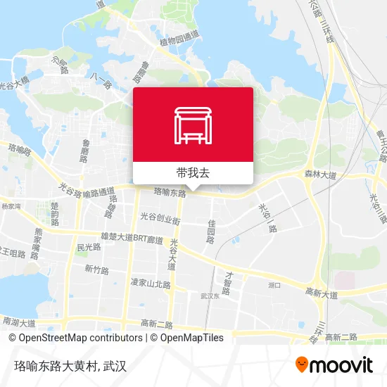 珞喻东路大黄村地图