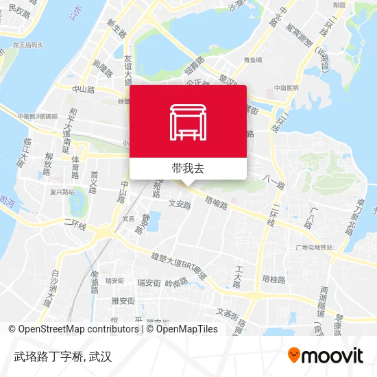武珞路丁字桥地图