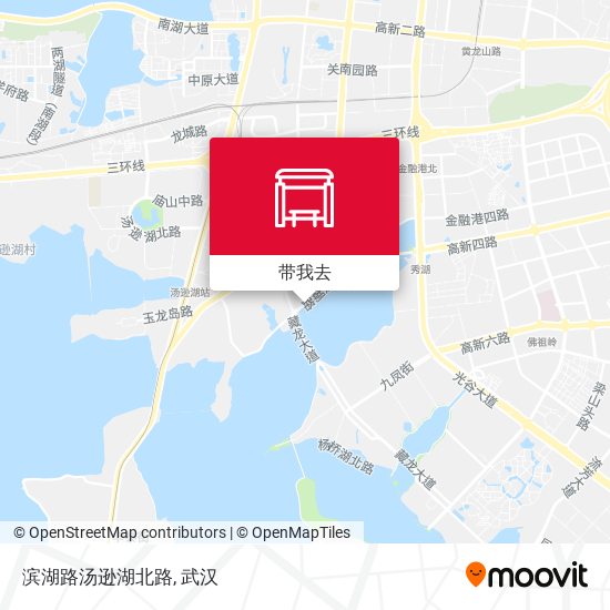 滨湖路汤逊湖北路地图