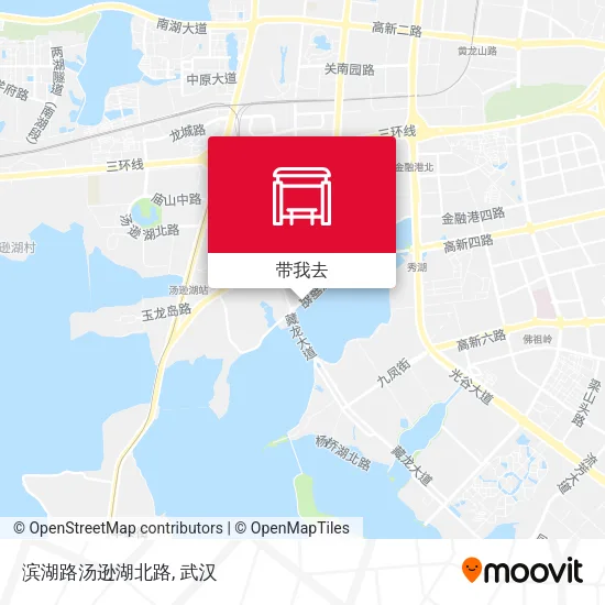 滨湖路汤逊湖北路地图