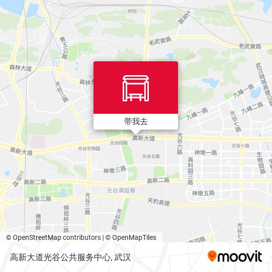 高新大道光谷公共服务中心地图