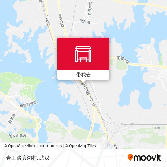 青王路滨湖村地图