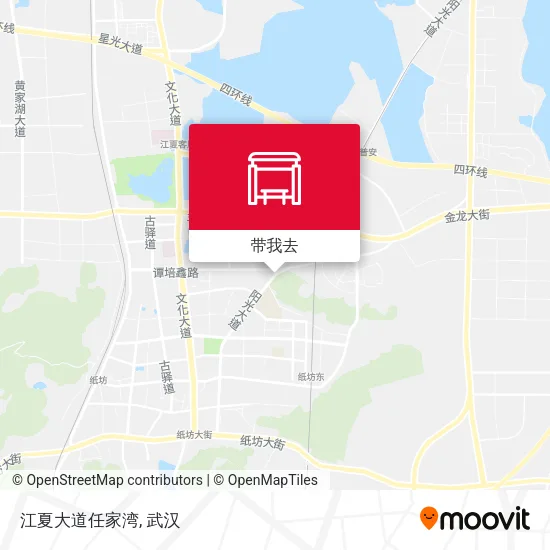 江夏大道任家湾地图