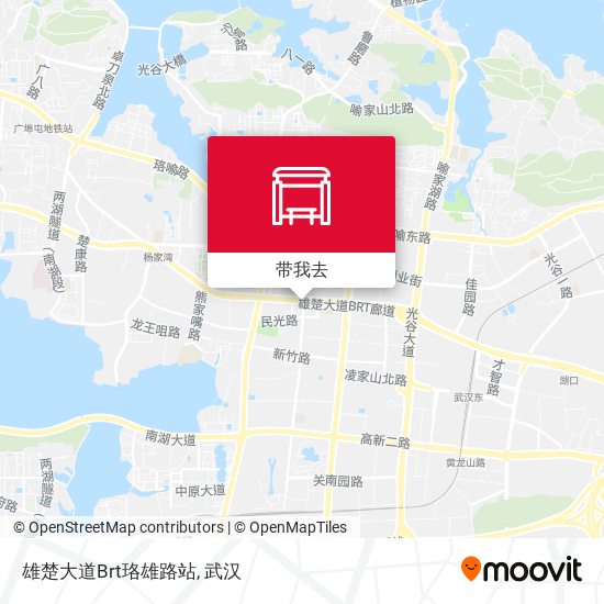 雄楚大道Brt珞雄路站地图