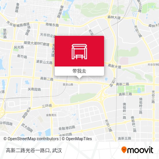 高新二路光谷一路口地图