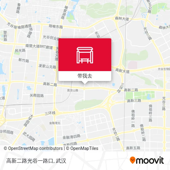 高新二路光谷一路口地图