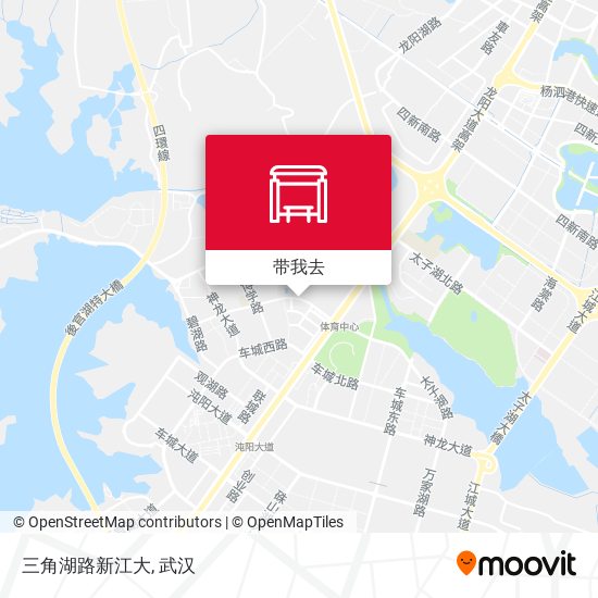 三角湖路新江大地图