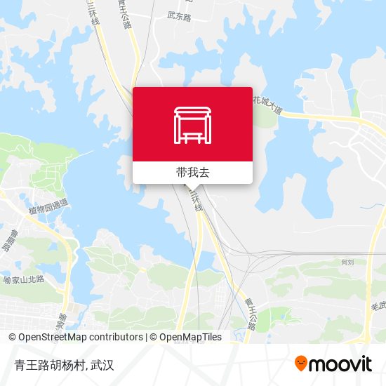 青王路胡杨村地图