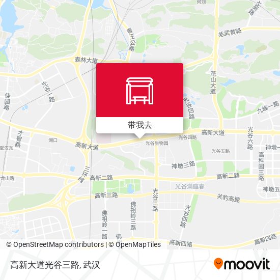 高新大道光谷三路地图