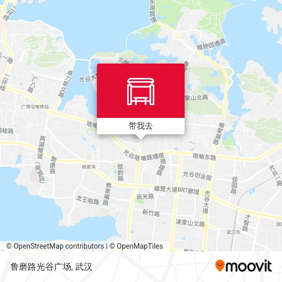 鲁磨路光谷广场地图