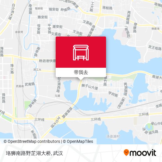 珞狮南路野芷湖大桥地图