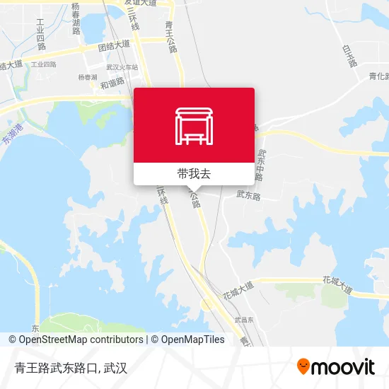 青王路武东路口地图
