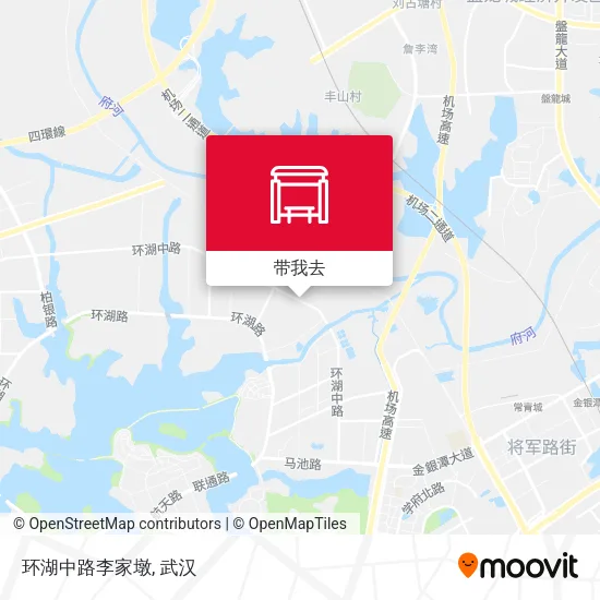环湖中路李家墩地图
