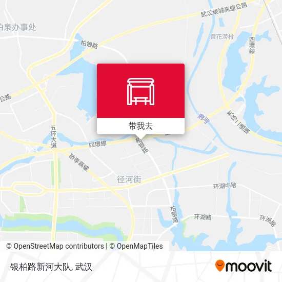 银柏路新河大队地图