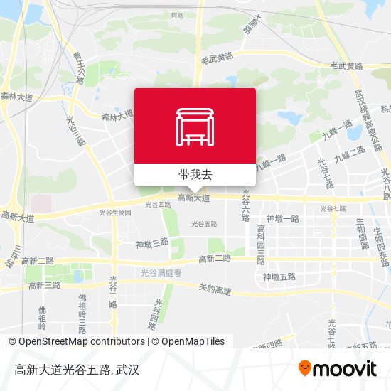 高新大道光谷五路地图