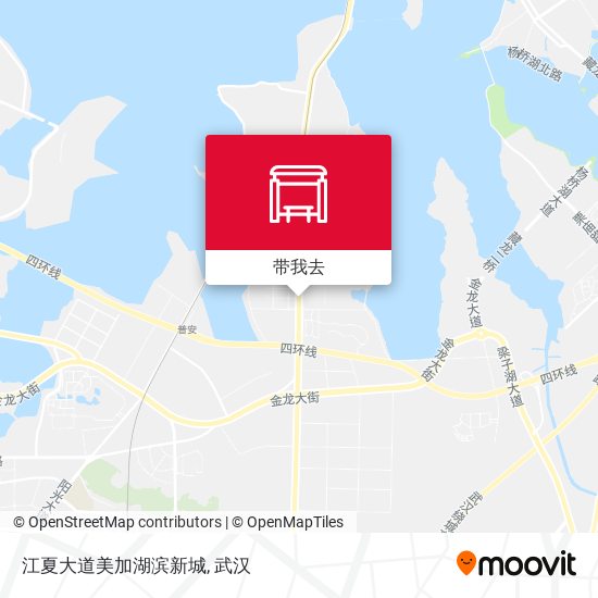 江夏大道美加湖滨新城地图
