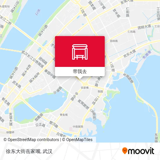 徐东大街岳家嘴地图