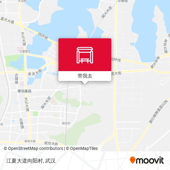 江夏大道向阳村地图