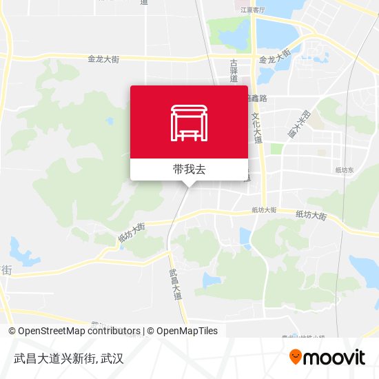 武昌大道兴新街地图