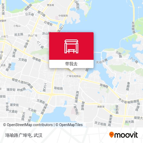 珞喻路广埠屯地图