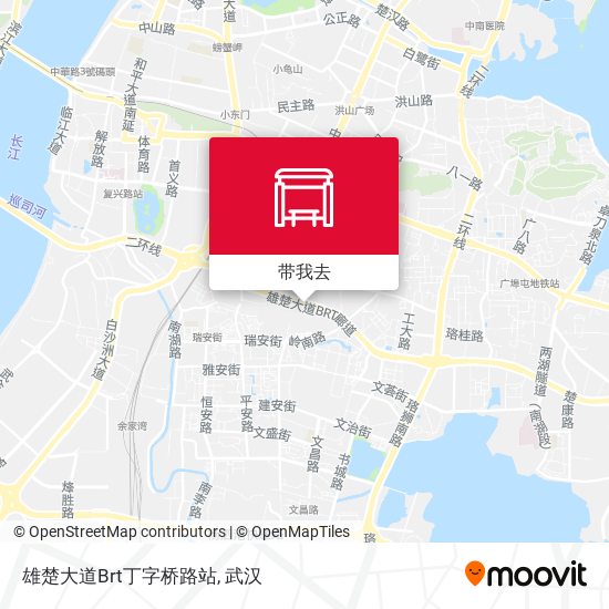 雄楚大道Brt丁字桥路站地图