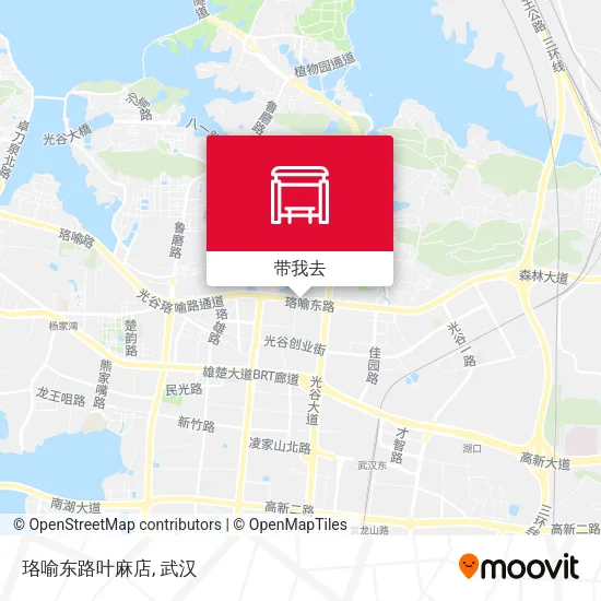 珞喻东路叶麻店地图